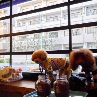 �{���_�C�J�t�F