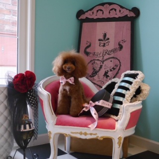 �g���~���O