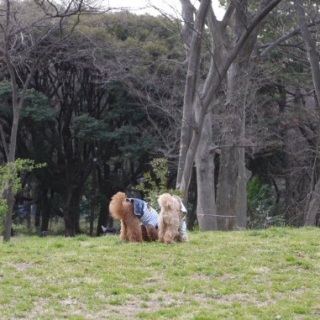 �N���N��