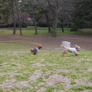 �y������