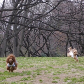 �J���`��