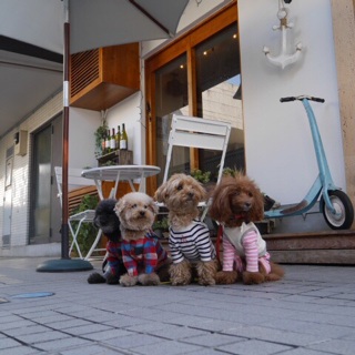 ���X�̑O�ŁB