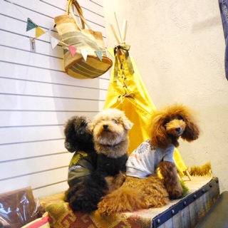 �C���f�B�A���v�����g