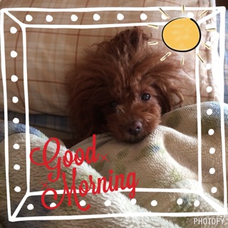 �����Q��